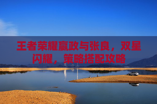 王者荣耀嬴政与张良,双星闪耀,策略搭配攻略 王者荣耀嬴政与张良,双星闪耀,策略搭配攻略
