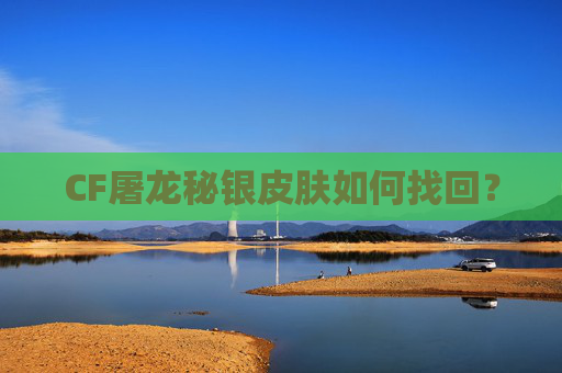 CF屠龙秘银皮肤如何找回？