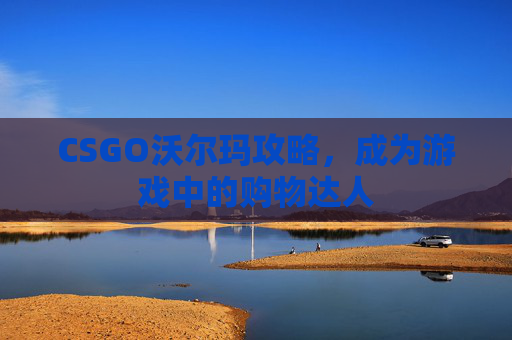 CSGO沃尔玛攻略，成为游戏中的购物达人