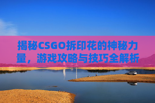 揭秘CSGO拆印花的神秘力量，游戏攻略与技巧全解析