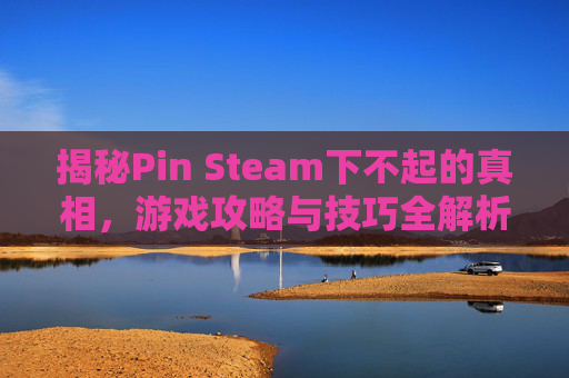 揭秘Pin Steam下不起的真相，游戏攻略与技巧全解析
