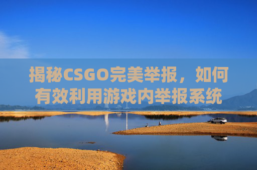 揭秘CSGO完美举报，如何有效利用游戏内举报系统