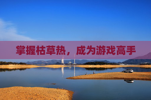 掌握枯草热，成为游戏高手