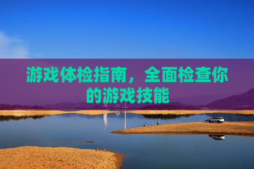 游戏体检指南，全面检查你的游戏技能