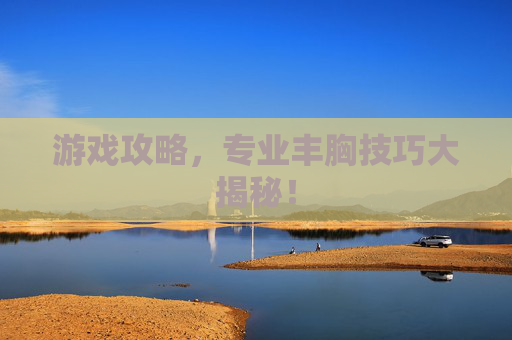 游戏攻略，专业丰胸技巧大揭秘！