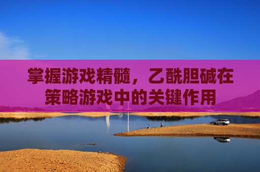 掌握游戏精髓，乙酰胆碱在策略游戏中的关键作用