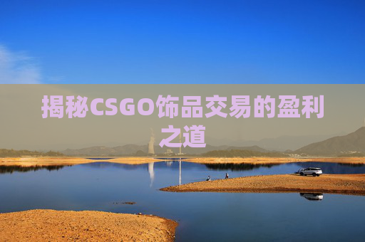 揭秘CSGO饰品交易的盈利之道
