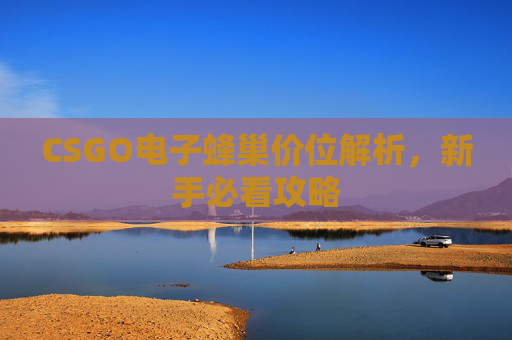 CSGO电子蜂巢价位解析，新手必看攻略