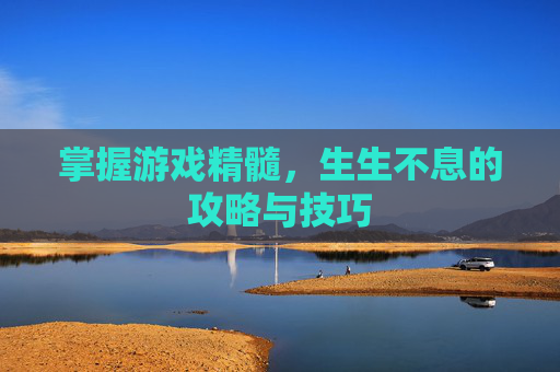 掌握游戏精髓，生生不息的攻略与技巧