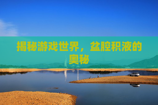 揭秘游戏世界,盆腔积液的奥秘 揭秘游戏世界,盆腔积液的奥秘