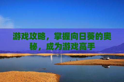 游戏攻略，掌握向日葵的奥秘，成为游戏高手