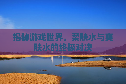 揭秘游戏世界,柔肤水与爽肤水的终极对决 揭秘游戏世界,柔肤水与爽肤水的终极对决