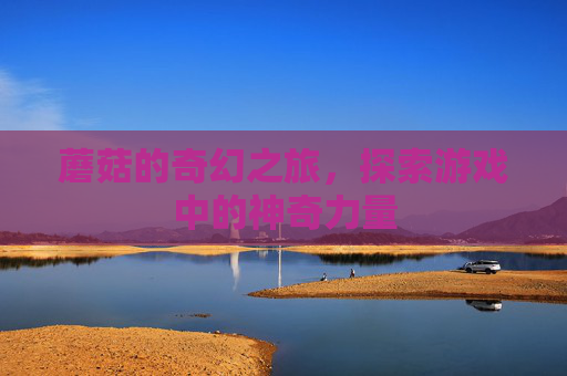 蘑菇的奇幻之旅，探索游戏中的神奇力量