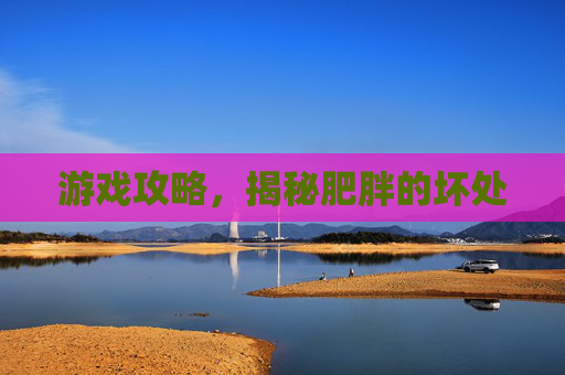 游戏攻略，揭秘肥胖的坏处
