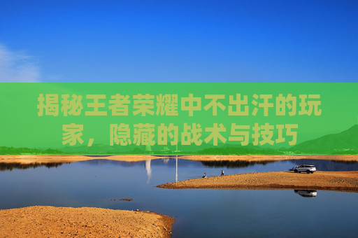 揭秘王者荣耀中不出汗的玩家，隐藏的战术与技巧