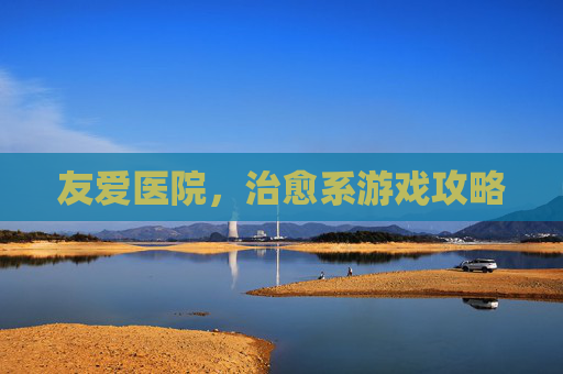 友爱医院,治愈系游戏攻略 友爱医院,治愈系游戏攻略
