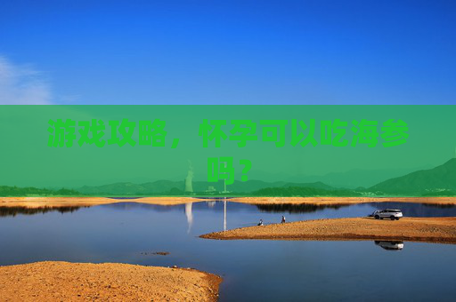 游戏攻略，怀孕可以吃海参吗？