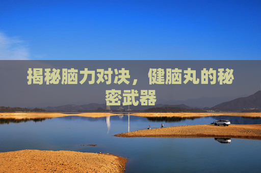 揭秘脑力对决，健脑丸的秘密武器
