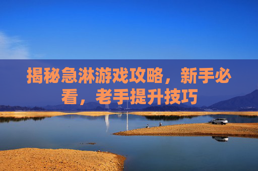 揭秘急淋游戏攻略,新手必看,老手提升技巧 揭秘急淋游戏攻略,新手必看,老手提升技巧