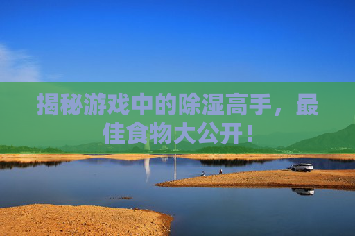 揭秘游戏中的除湿高手，最佳食物大公开！