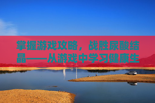 掌握游戏攻略,战胜尿酸结晶——从游戏中学习健康生活 掌握游戏攻略,战胜尿酸结晶——从游戏中学习健康生活