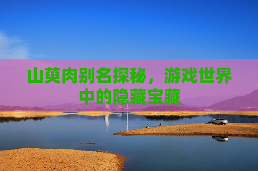 山萸肉别名探秘，游戏世界中的隐藏宝藏