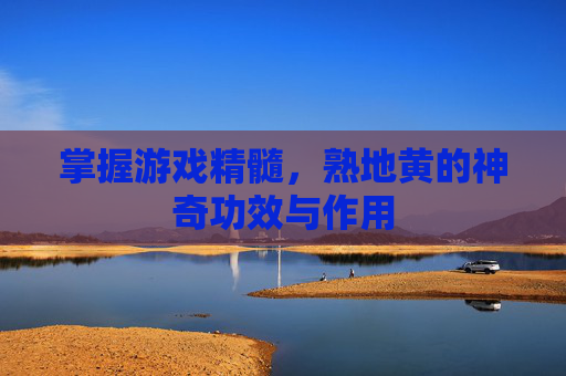 掌握游戏精髓，熟地黄的神奇功效与作用