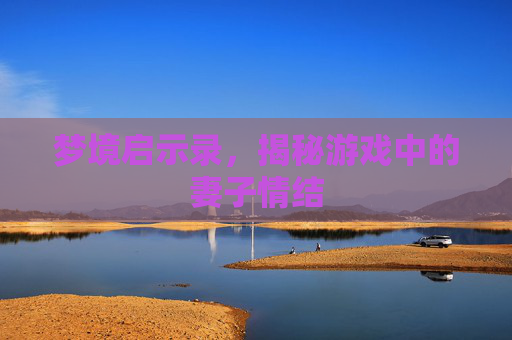 梦境启示录，揭秘游戏中的妻子情结