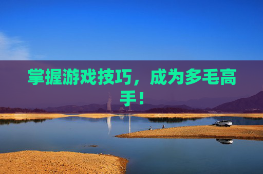 掌握游戏技巧,成为多毛高手! 掌握游戏技巧,成为多毛高手!