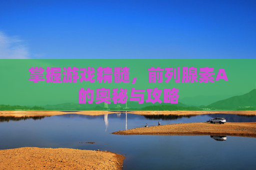 掌握游戏精髓,前列腺素A的奥秘与攻略 掌握游戏精髓,前列腺素A的奥秘与攻略
