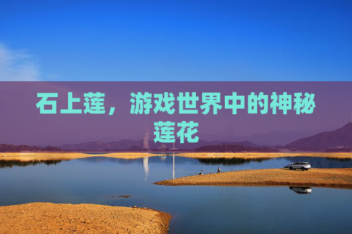 石上莲,游戏世界中的神秘莲花 石上莲,游戏世界中的神秘莲花