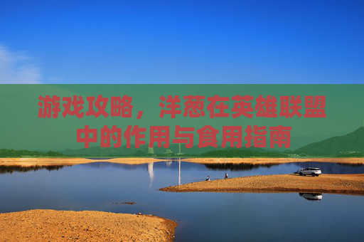 游戏攻略,洋葱在英雄联盟中的作用与食用指南 游戏攻略,洋葱在英雄联盟中的作用与食用指南
