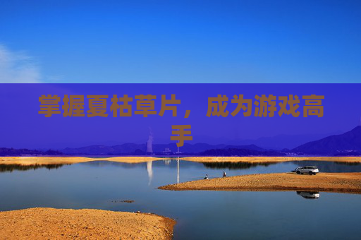 掌握夏枯草片,成为游戏高手 掌握夏枯草片,成为游戏高手