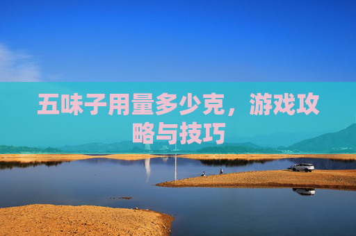 五味子用量多少克,游戏攻略与技巧 五味子用量多少克,游戏攻略与技巧