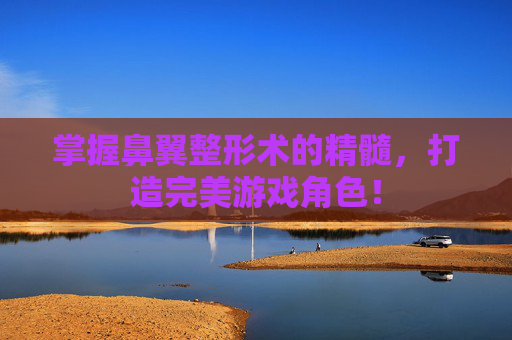 掌握鼻翼整形术的精髓,打造完美游戏角色! 掌握鼻翼整形术的精髓,打造完美游戏角色!