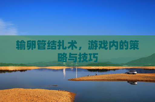 输卵管结扎术,游戏内的策略与技巧 输卵管结扎术,游戏内的策略与技巧