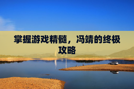 掌握游戏精髓，冯靖的终极攻略
