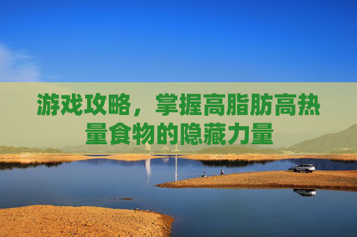 游戏攻略，掌握高脂肪高热量食物的隐藏力量