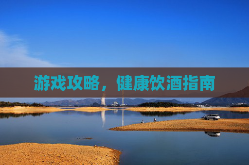 游戏攻略,健康饮酒指南 游戏攻略,健康饮酒指南