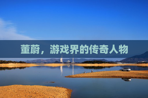 董蔚,游戏界的传奇人物 董蔚,游戏界的传奇人物