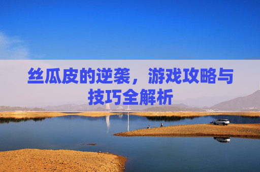 丝瓜皮的逆袭，游戏攻略与技巧全解析