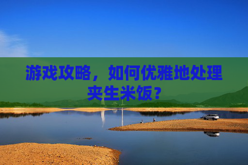 游戏攻略，如何优雅地处理夹生米饭？