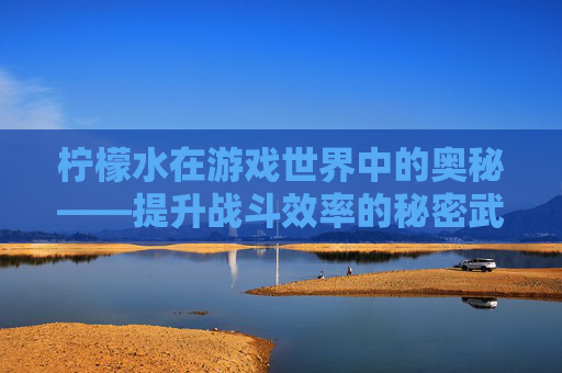 柠檬水在游戏世界中的奥秘——提升战斗效率的秘密武器 柠檬水在游戏世界中的奥秘——提升战斗效率的秘密武器