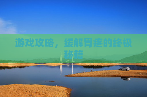 游戏攻略，缓解胃疼的终极秘籍
