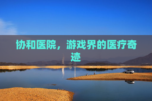 协和医院,游戏界的医疗奇迹 协和医院,游戏界的医疗奇迹