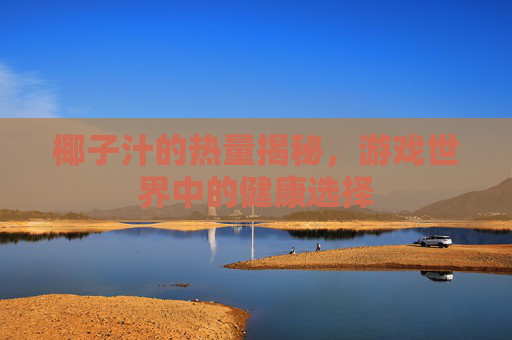椰子汁的热量揭秘,游戏世界中的健康选择 椰子汁的热量揭秘,游戏世界中的健康选择