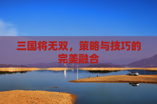 三国将无双,策略与技巧的完美融合 三国将无双,策略与技巧的完美融合