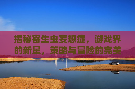 揭秘寄生虫妄想症，游戏界的新星，策略与冒险的完美结合