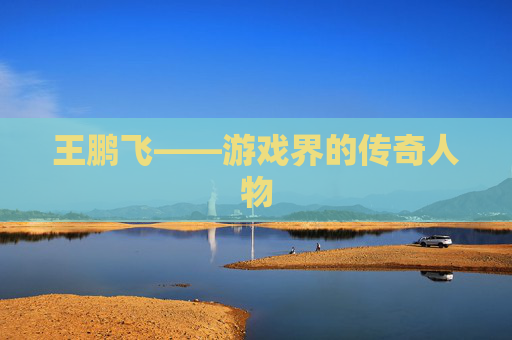 王鹏飞——游戏界的传奇人物