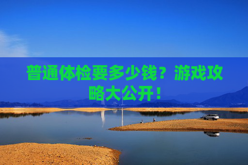 普通体检要多少钱？游戏攻略大公开！